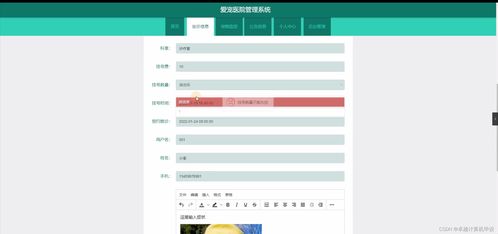 SpringBoot爱宠医院管理系统 源码解析与设计研究